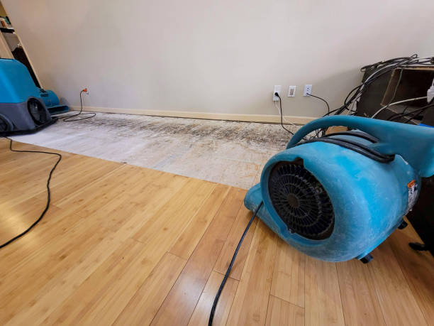Professional Burst Pipe Water Damage technician working in Olivet, SD